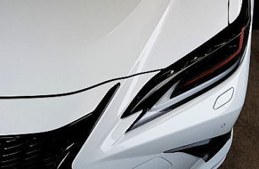 LEXUS ES300h F SPORT [愛知県の高性能カーセキュリティ販売・取付店　J-PASSION]レクサス・Pantera（パンテーラ） Grgo（ゴルゴ）